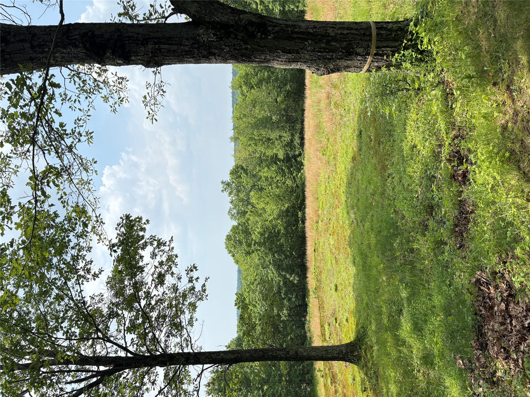 Willow Glen Road, Red Hook, NY 12571