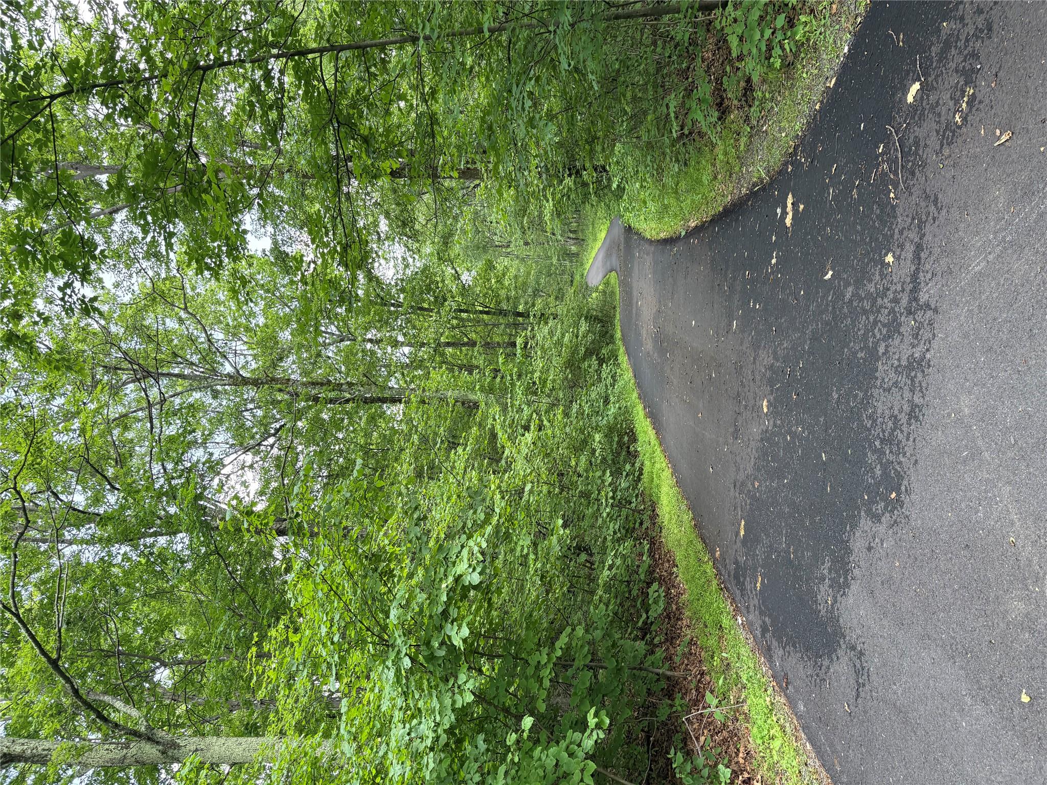 Willow Glen Road, Red Hook, NY 12571