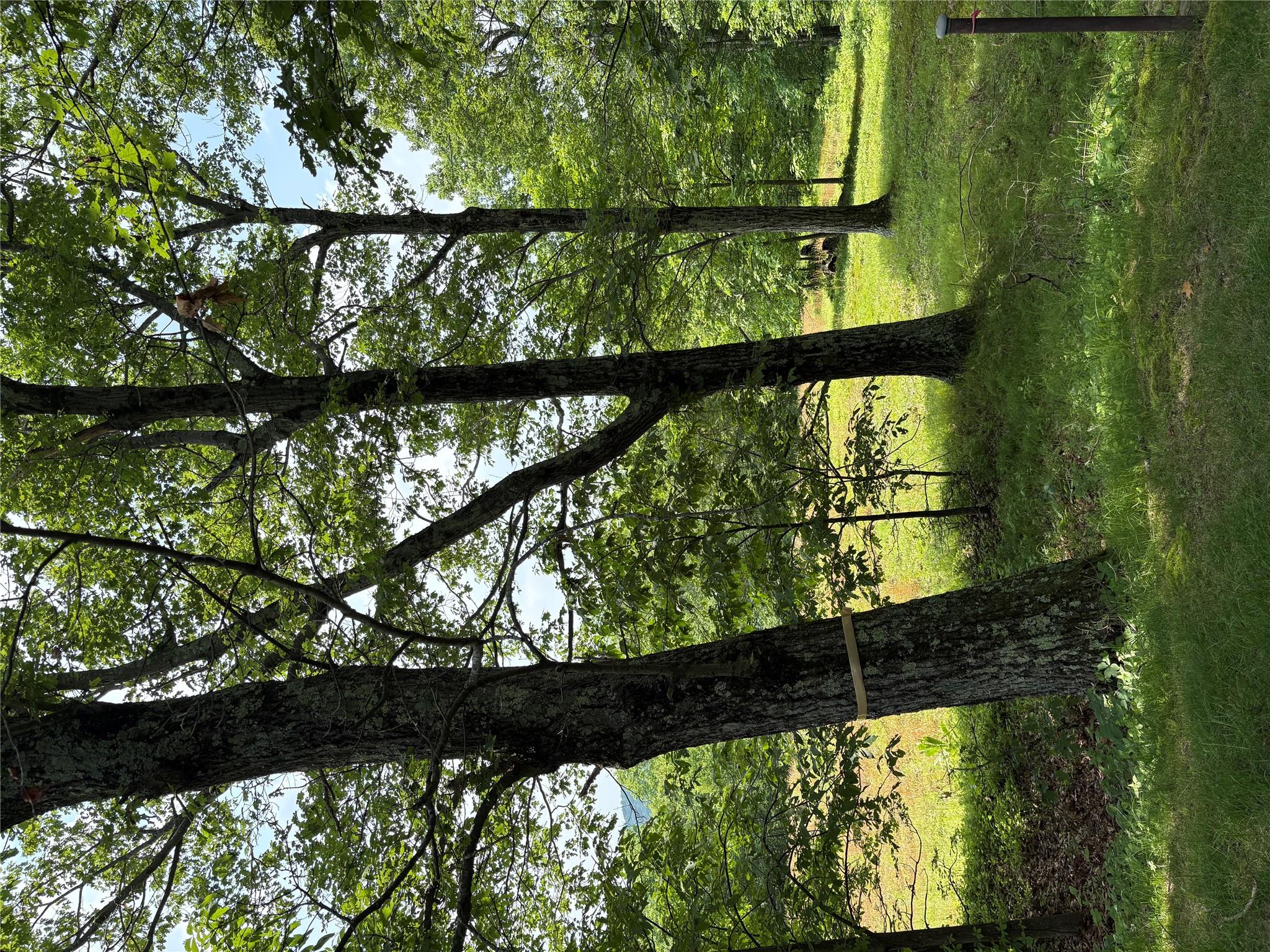 Willow Glen Road, Red Hook, NY 12571