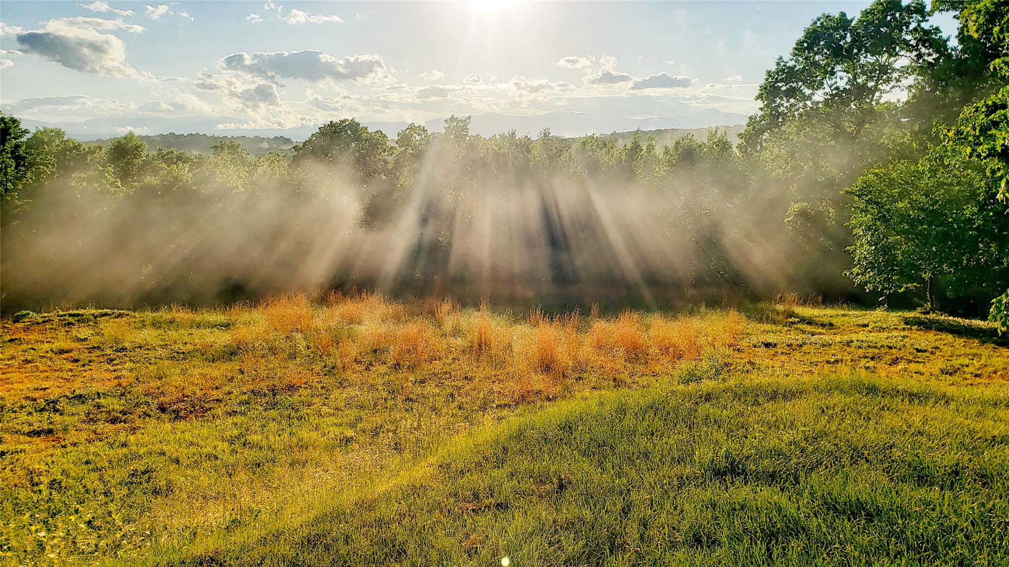 Willow Glen Road, Red Hook, NY 12571