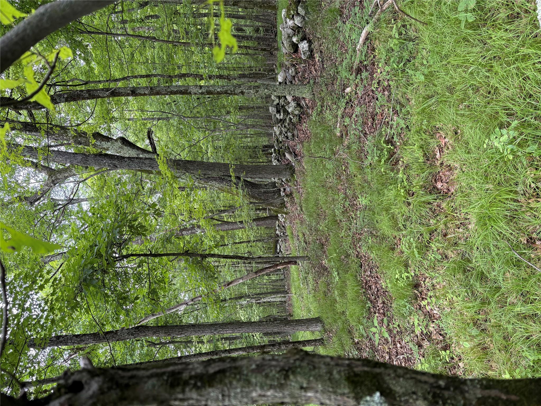 Willow Glen Road, Red Hook, NY 12571