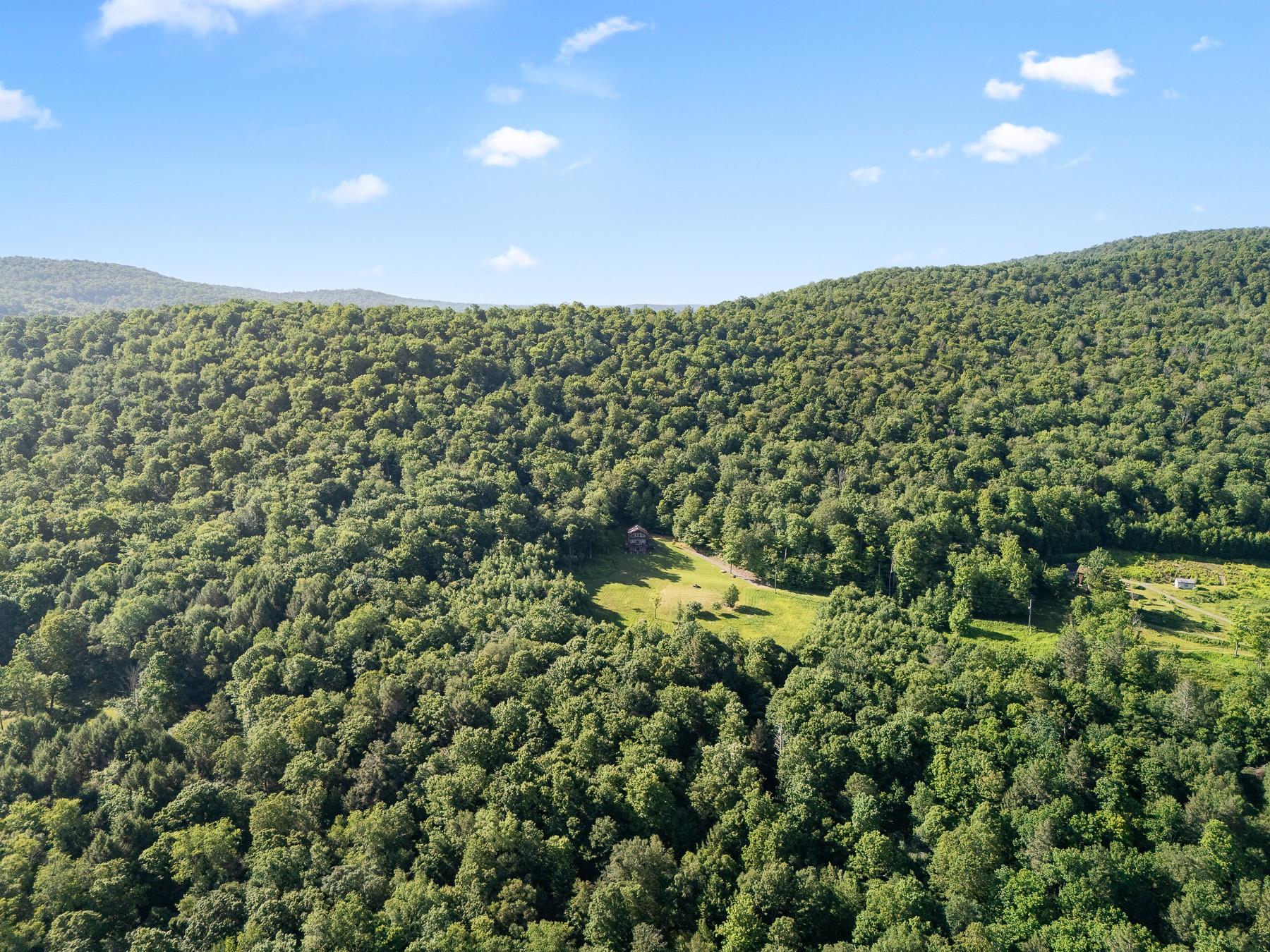 734 Lewis Road, Walton, NY 13856