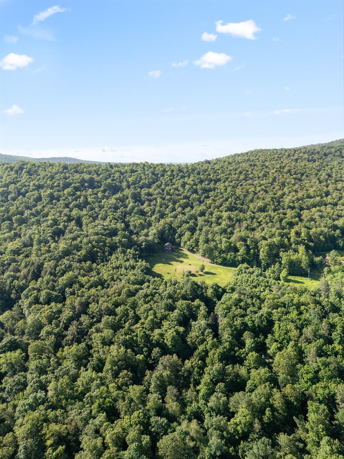 734 Lewis Road, Walton, NY 13856