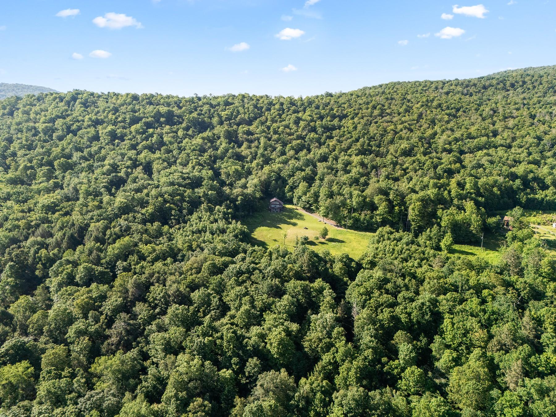 734 Lewis Road, Walton, NY 13856