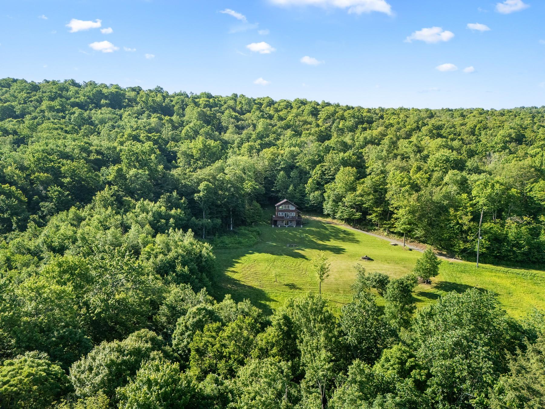 734 Lewis Road, Walton, NY 13856