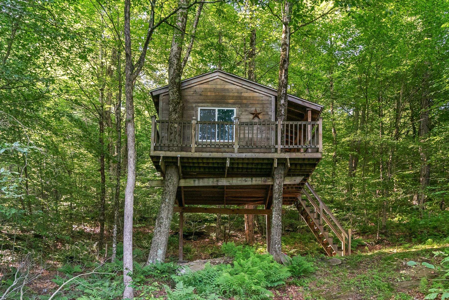 734 Lewis Road, Walton, NY 13856