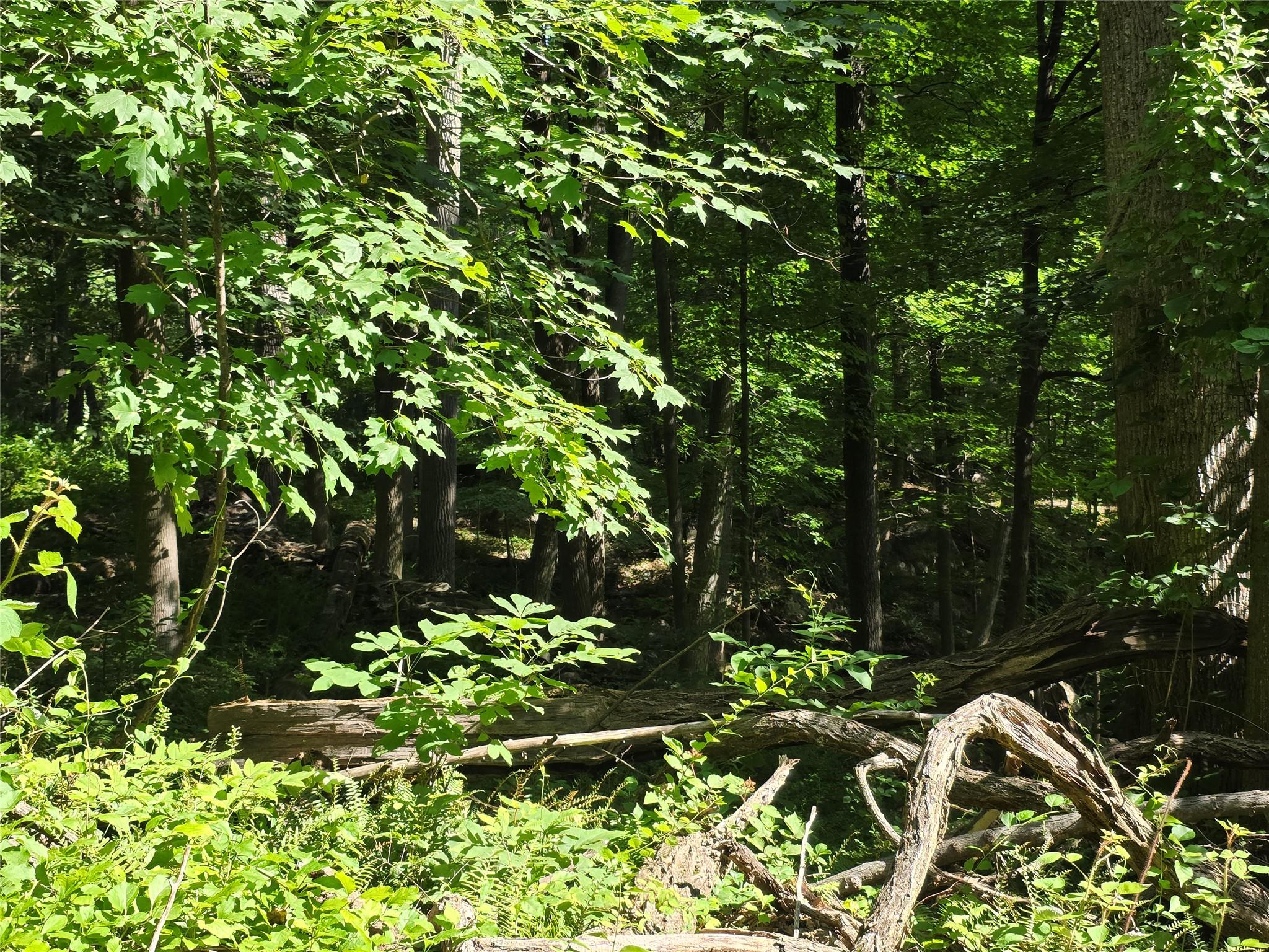 106 Upland Drive, Garrison, NY 10524