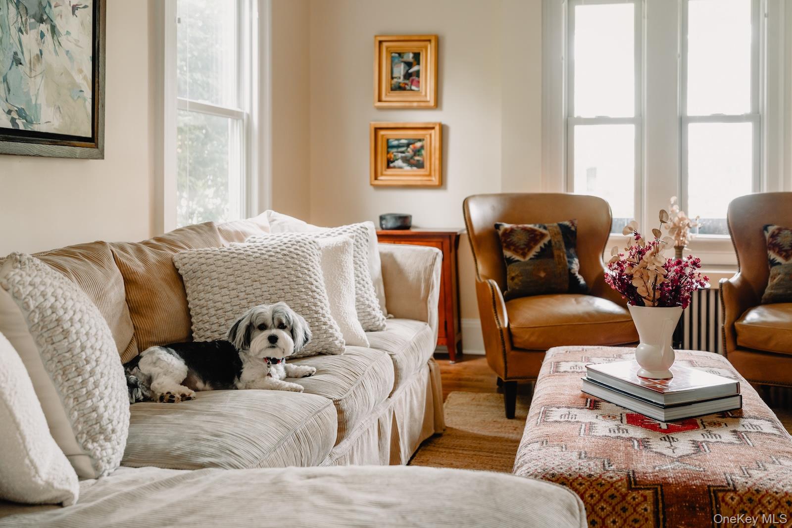 38 Chestnut Street, Rhinebeck, NY 12572