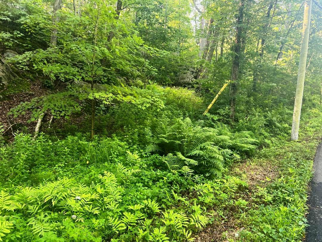 Lot 14.1 Wiccopee Road, Putnam Valley, NY 10579