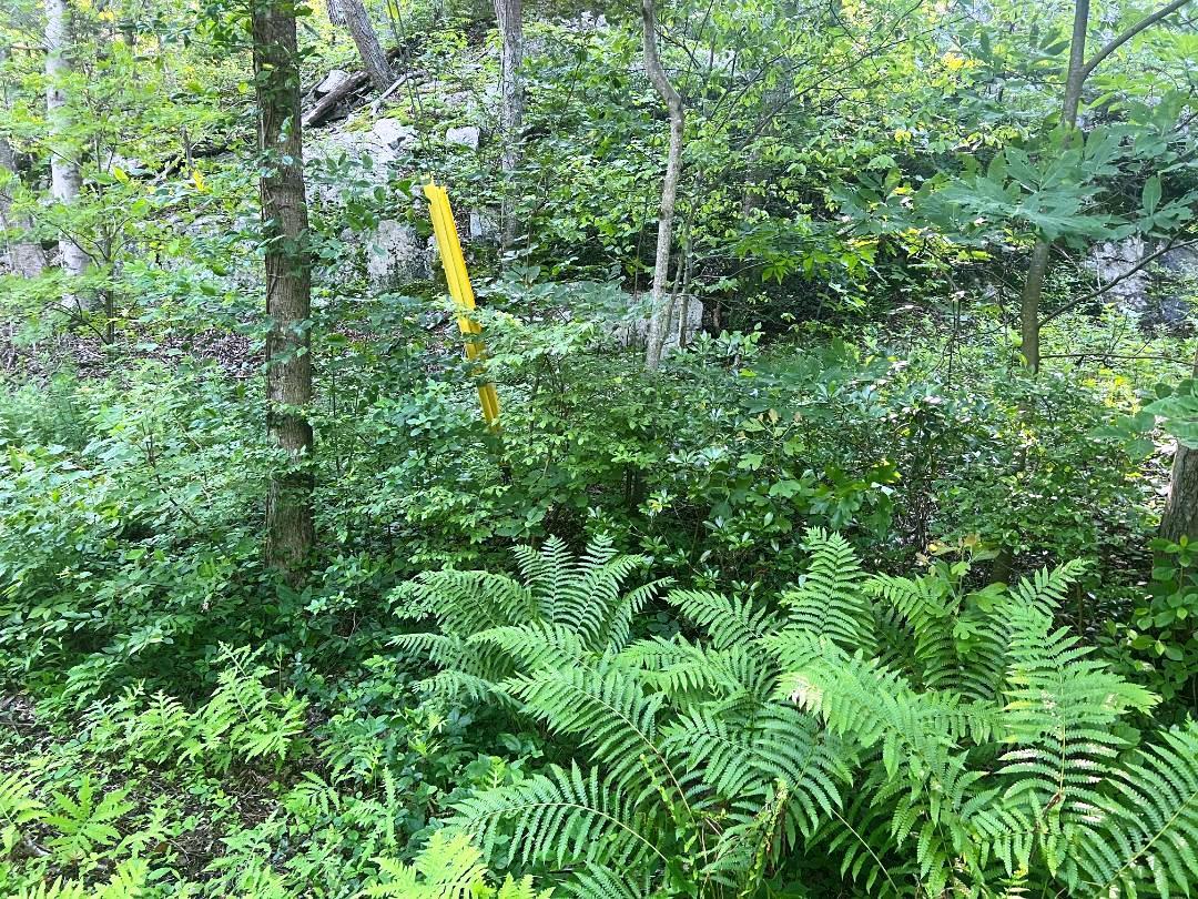 Lot 14.1 Wiccopee Road, Putnam Valley, NY 10579