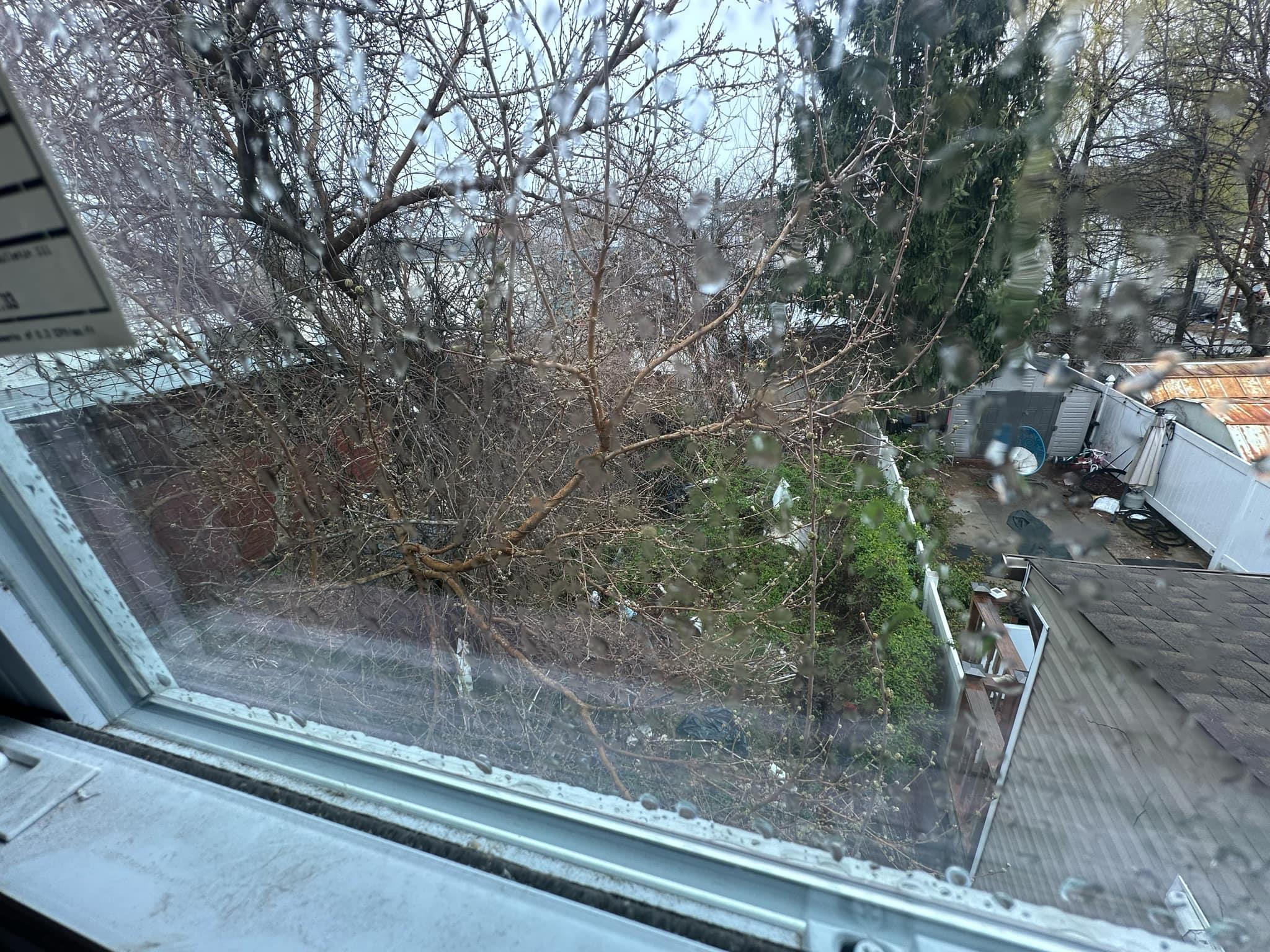 303 Hendrix Street, Brooklyn, NY 11207