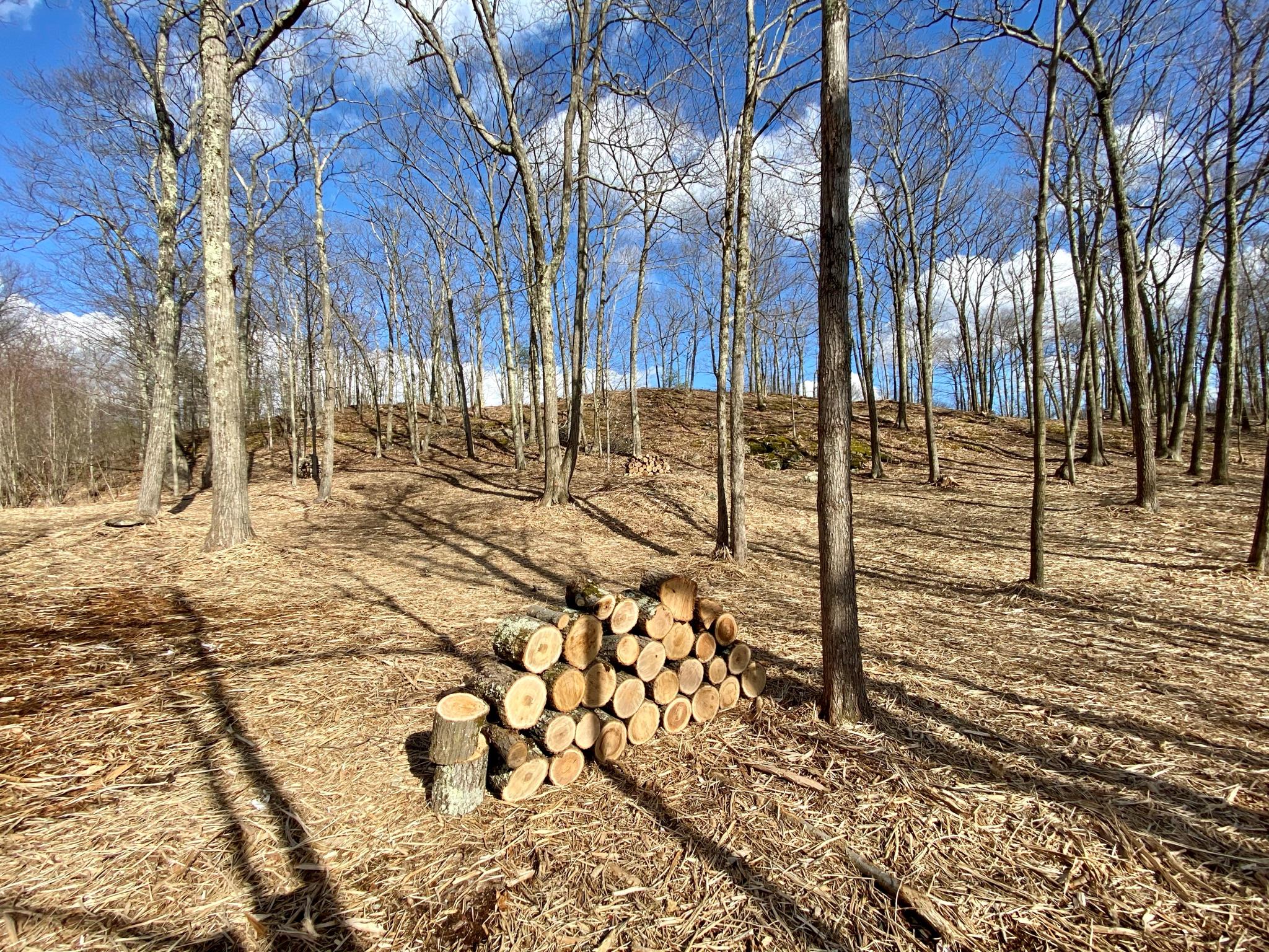 400 Mercer Mountain Road, East Chatham, NY 12060