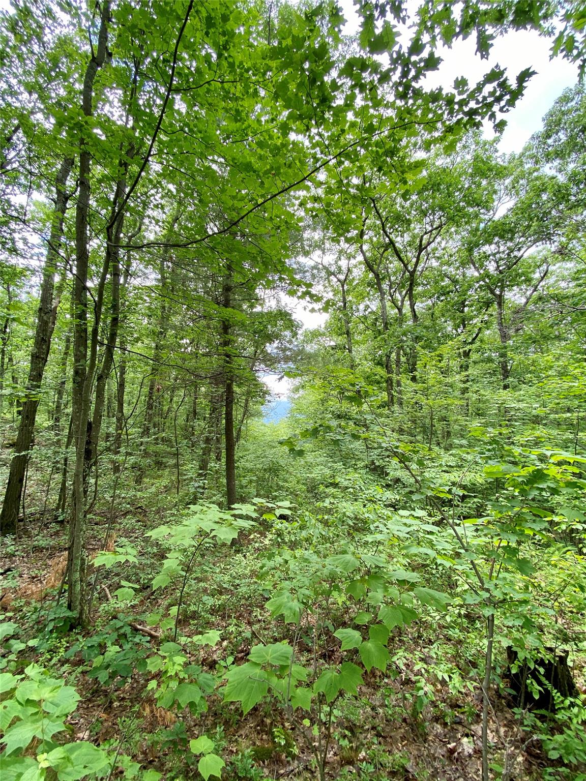 400 Mercer Mountain Road, East Chatham, NY 12060