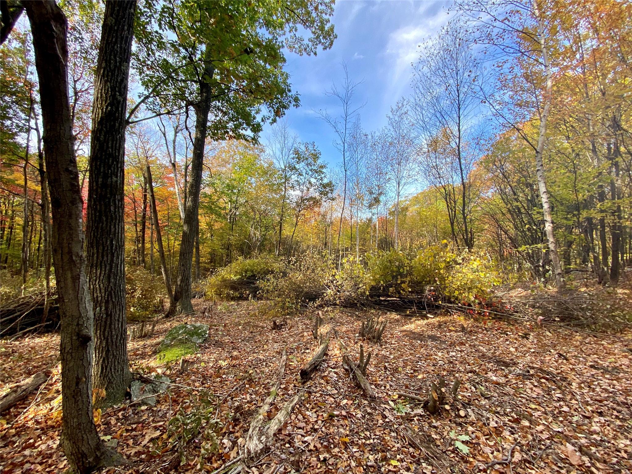 400 Mercer Mountain Road, East Chatham, NY 12060