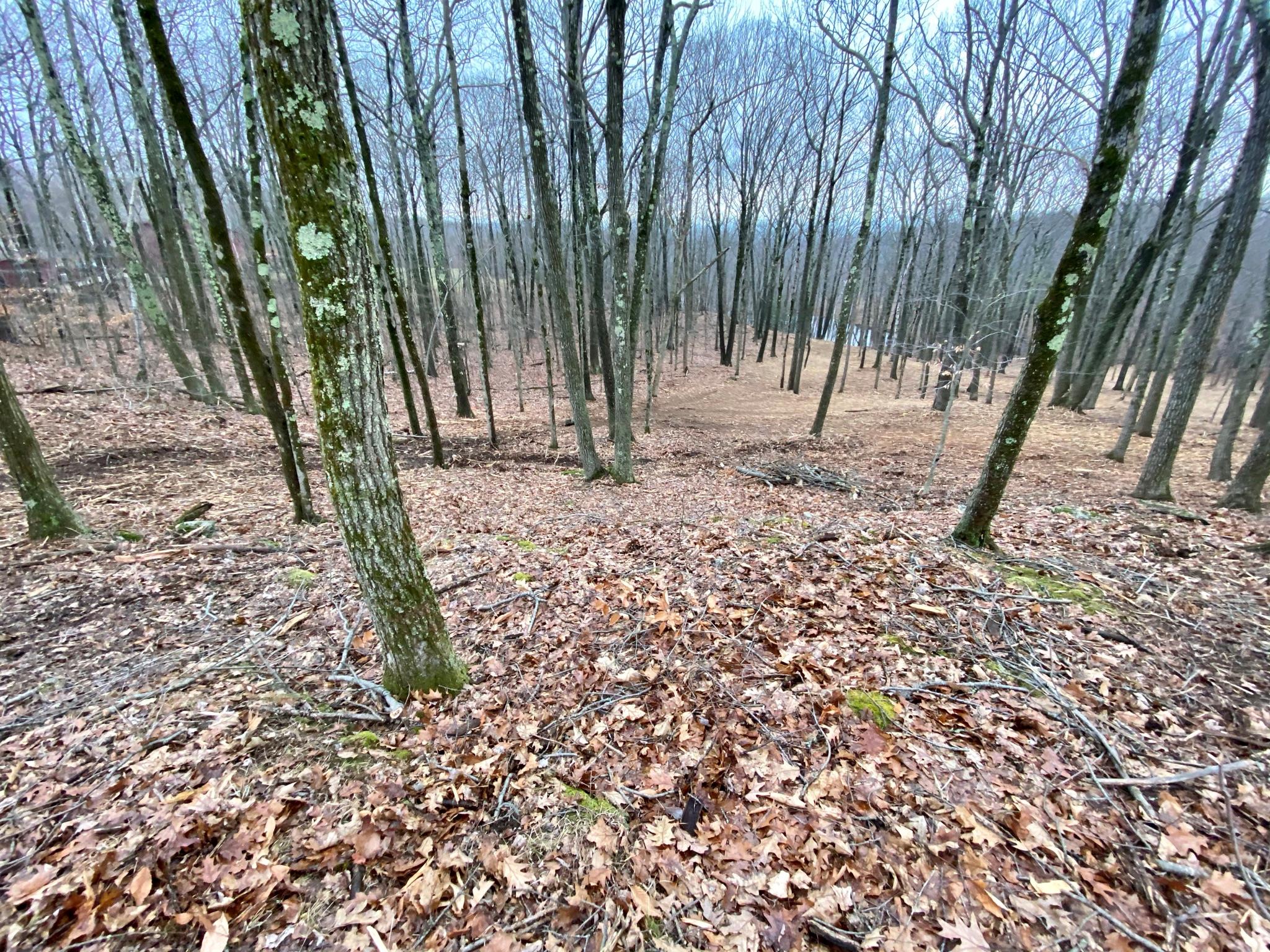 400 Mercer Mountain Road, East Chatham, NY 12060