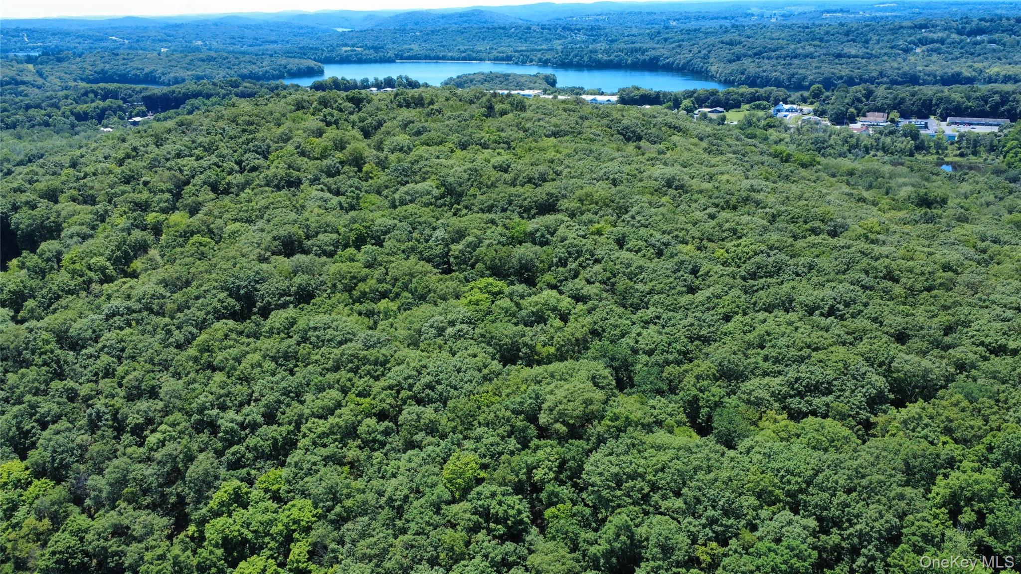 118 Scenic Ridge Drive, Brewster, NY 10509