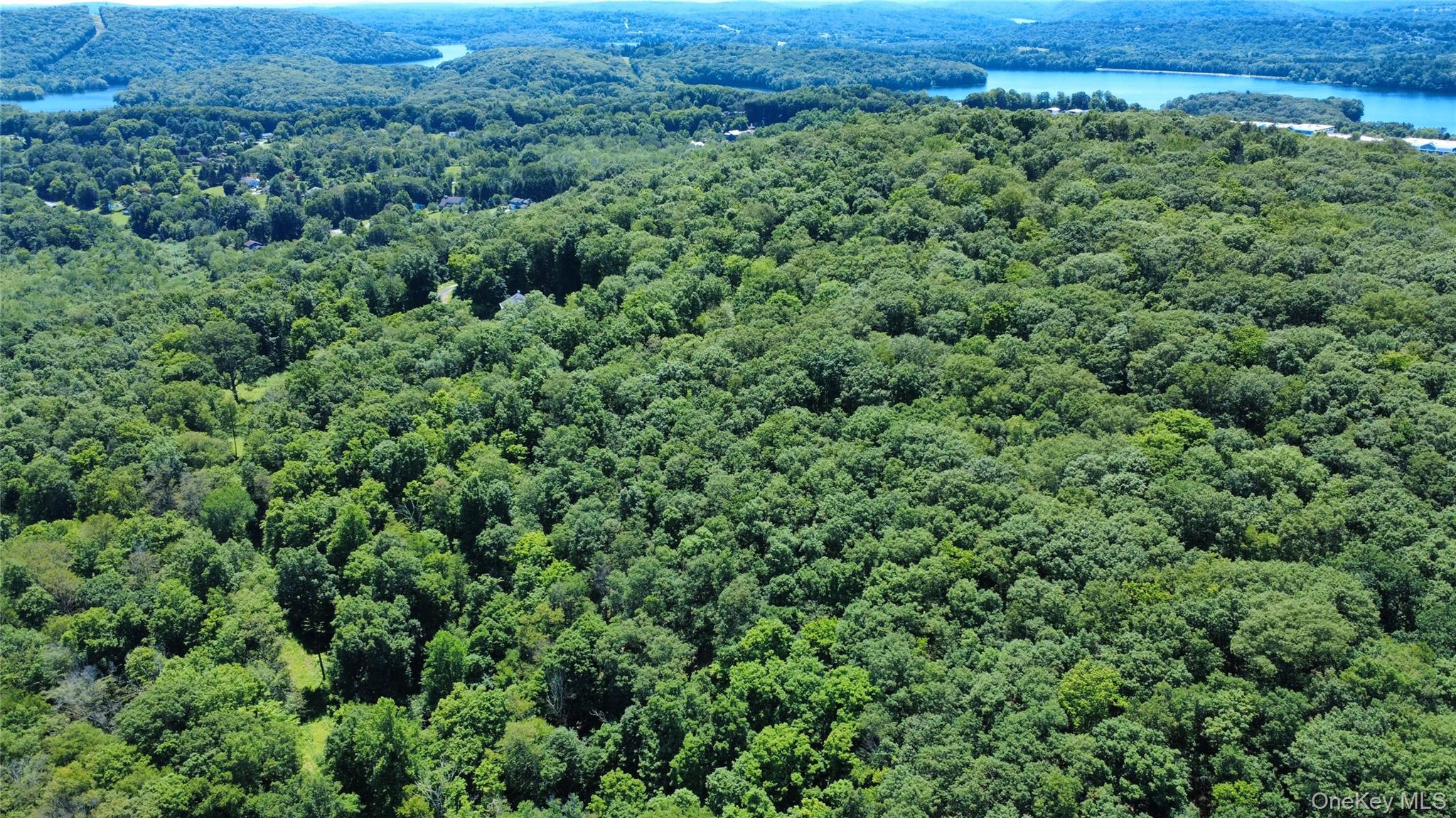 118 Scenic Ridge Drive, Brewster, NY 10509