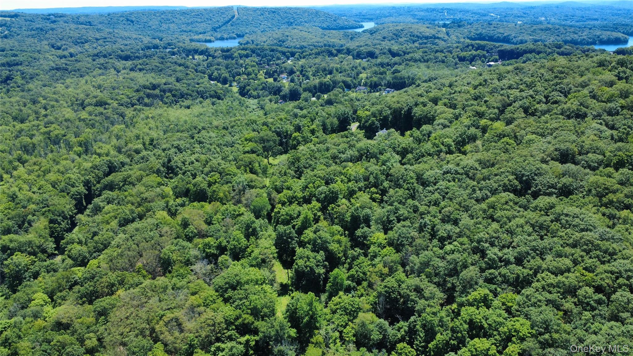 118 Scenic Ridge Drive, Brewster, NY 10509