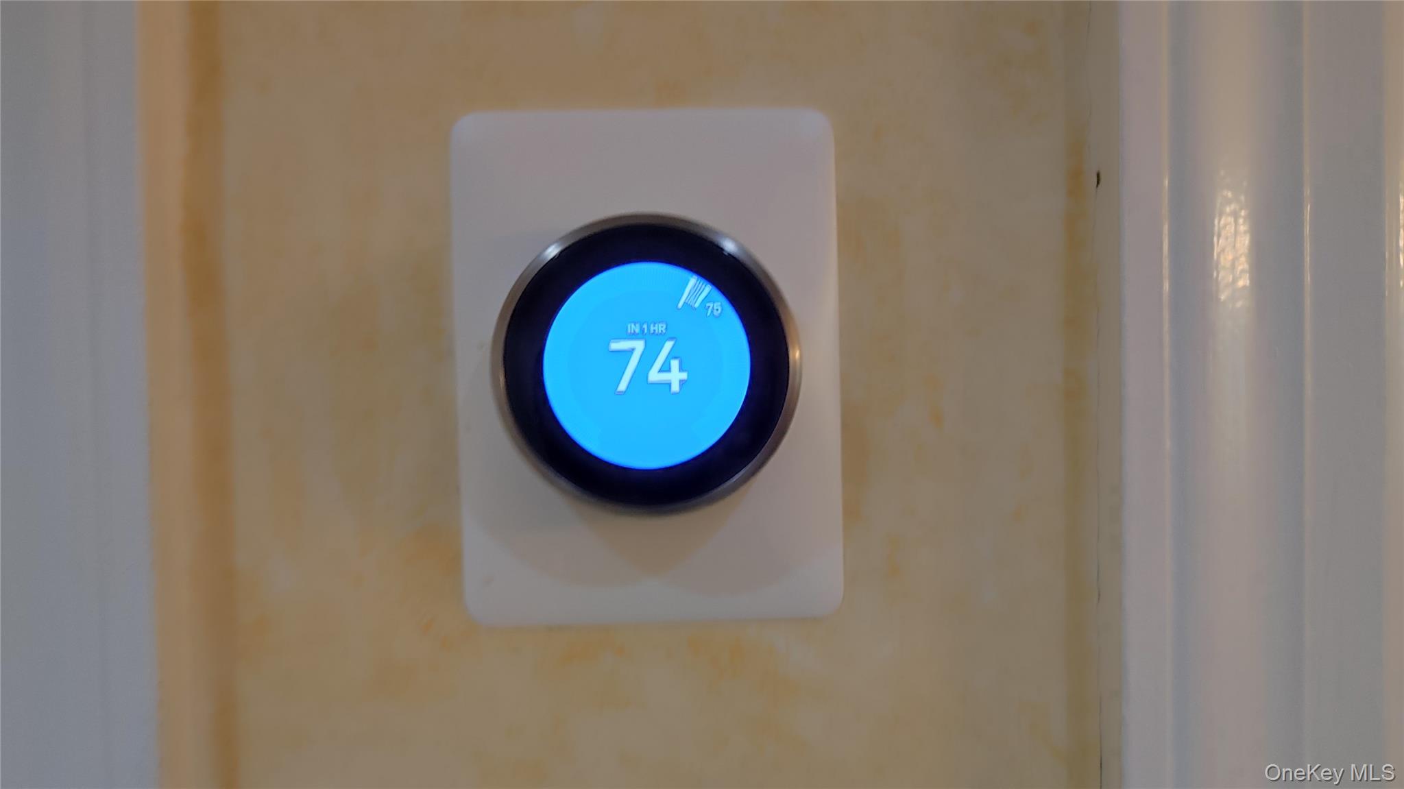 8177 Utopia Pkwy, Jamaica Estates, NY 11432