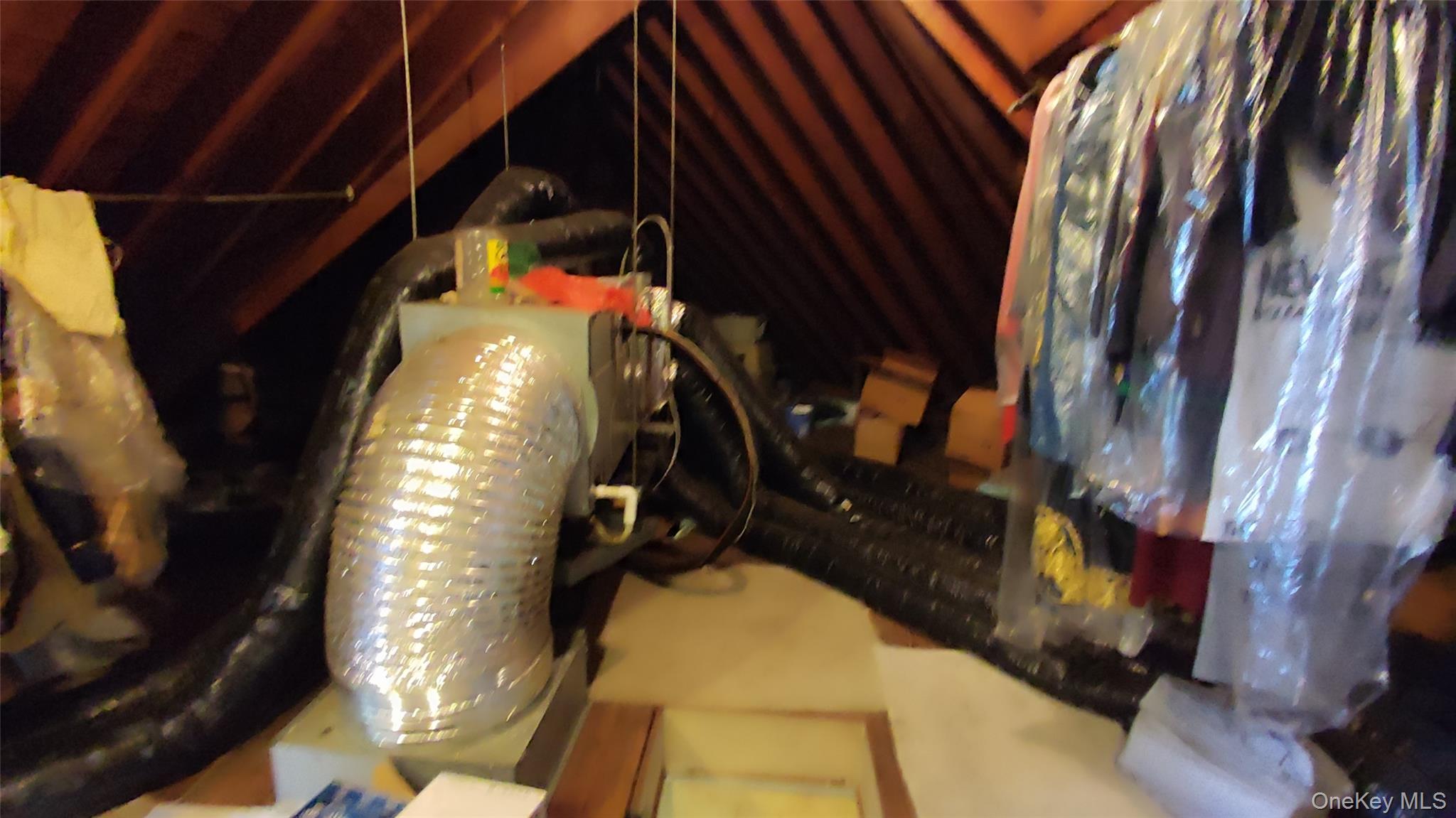 8177 Utopia Pkwy, Jamaica Estates, NY 11432