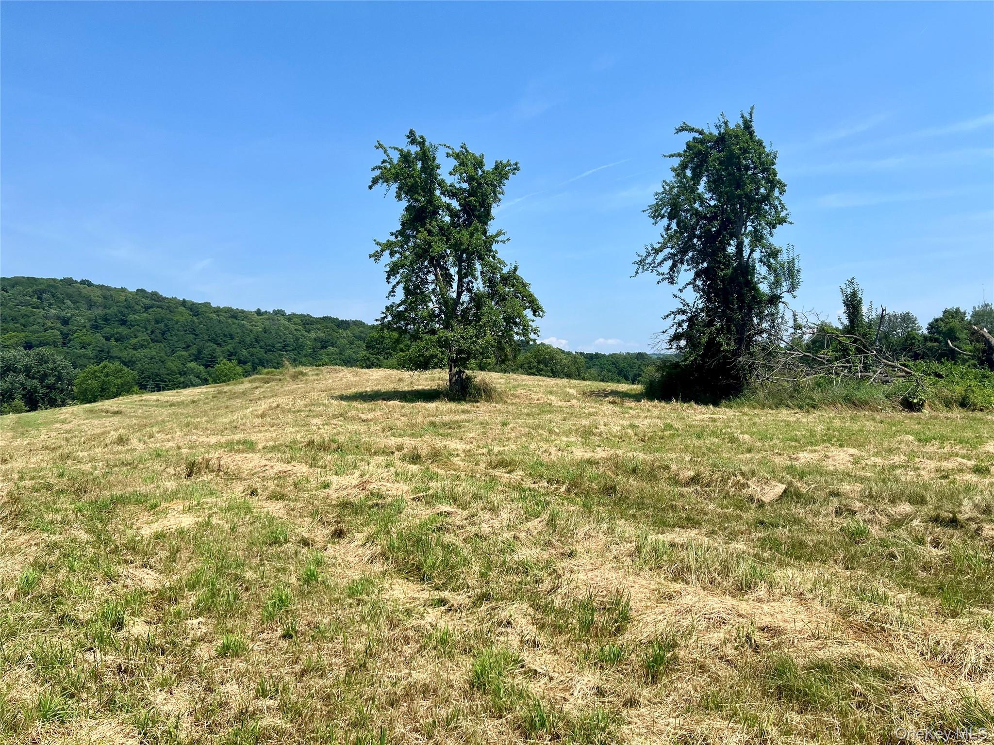 7668 Route 82, Pine Plains, NY 12567