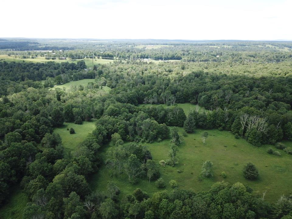 Bushville Road, Bethel, NY 12720