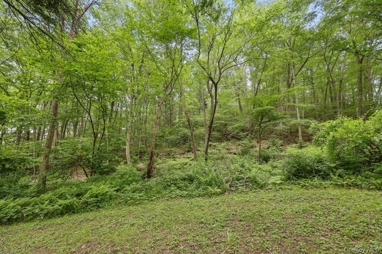 65 Hortontown Road, Carmel, NY 10512