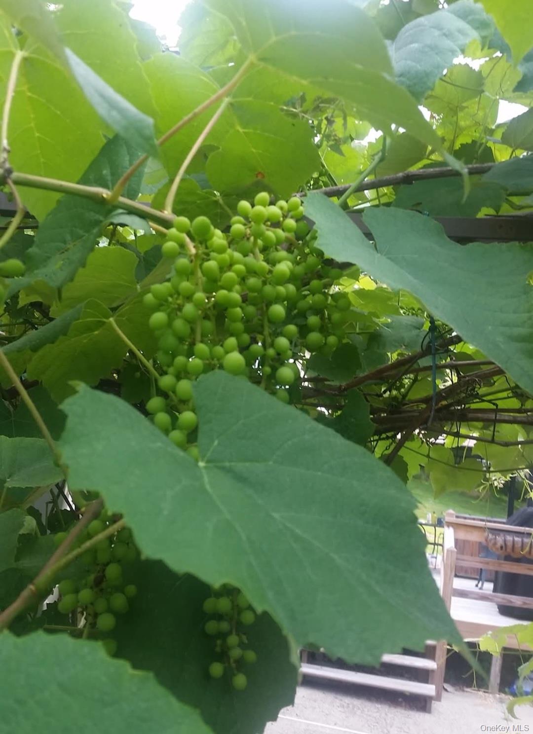 391 Bull Mill Road, Chester, NY 10918