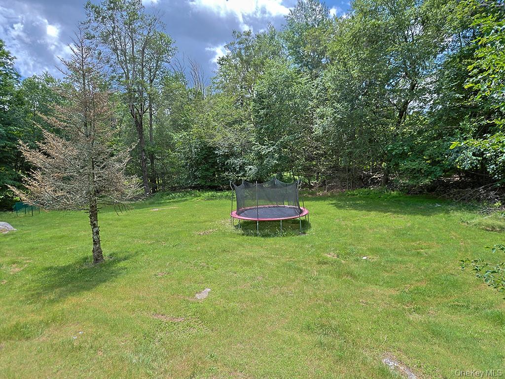 20 Haddock Road, Monticello, NY 12701