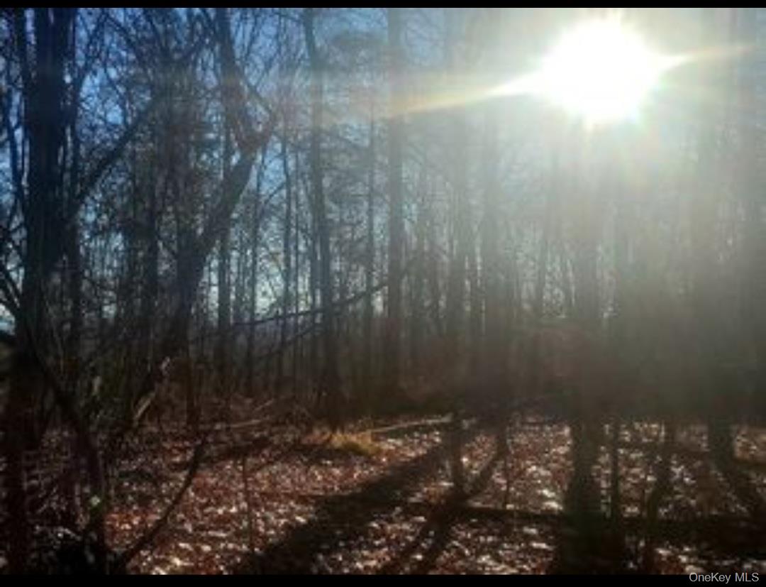 224 Hickory Hill Lane, Newburgh, NY 12550