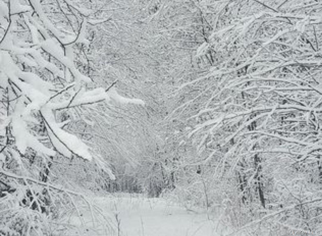 224 Hickory Hill Lane, Newburgh, NY 12550