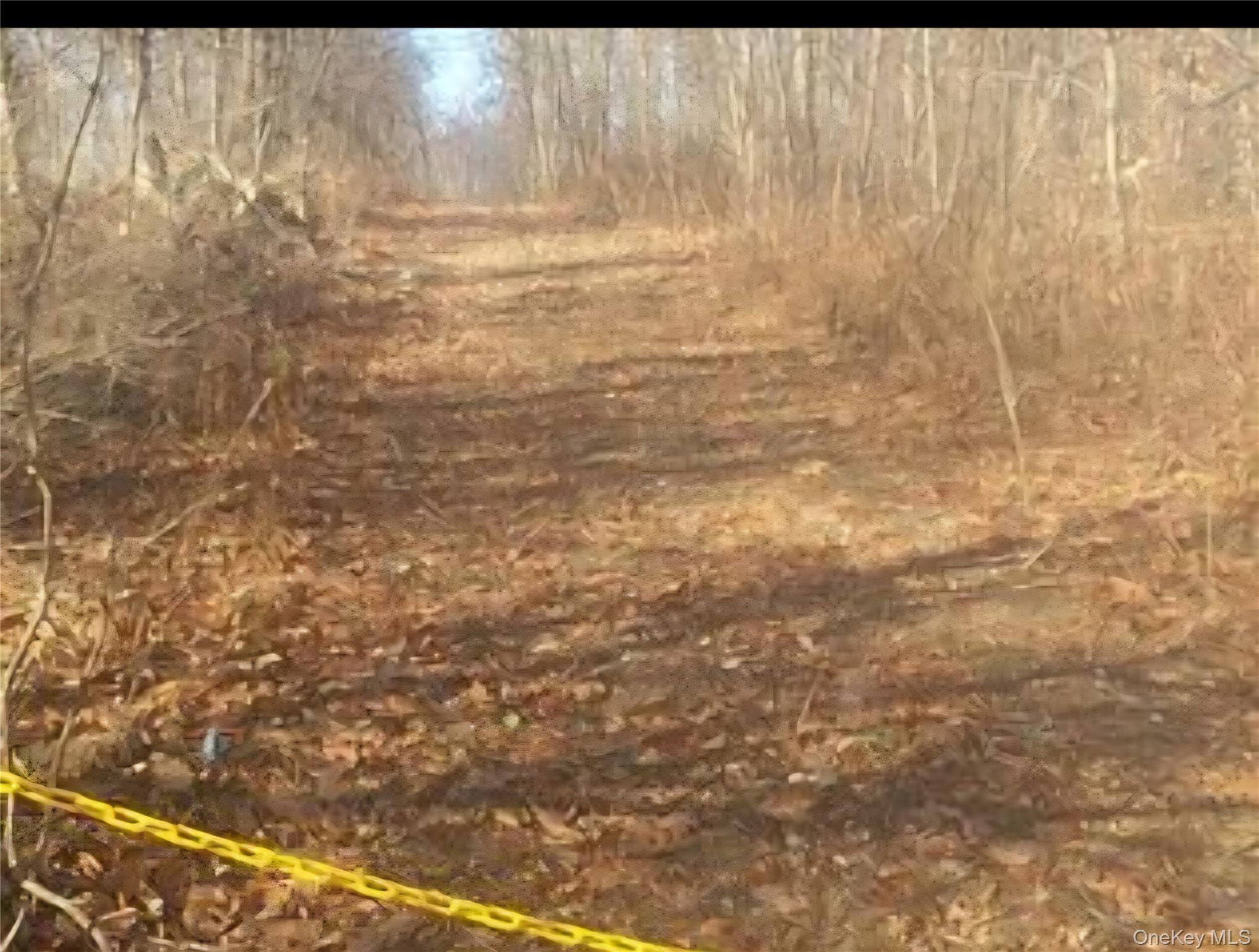 224 Hickory Hill Lane, Newburgh, NY 12550