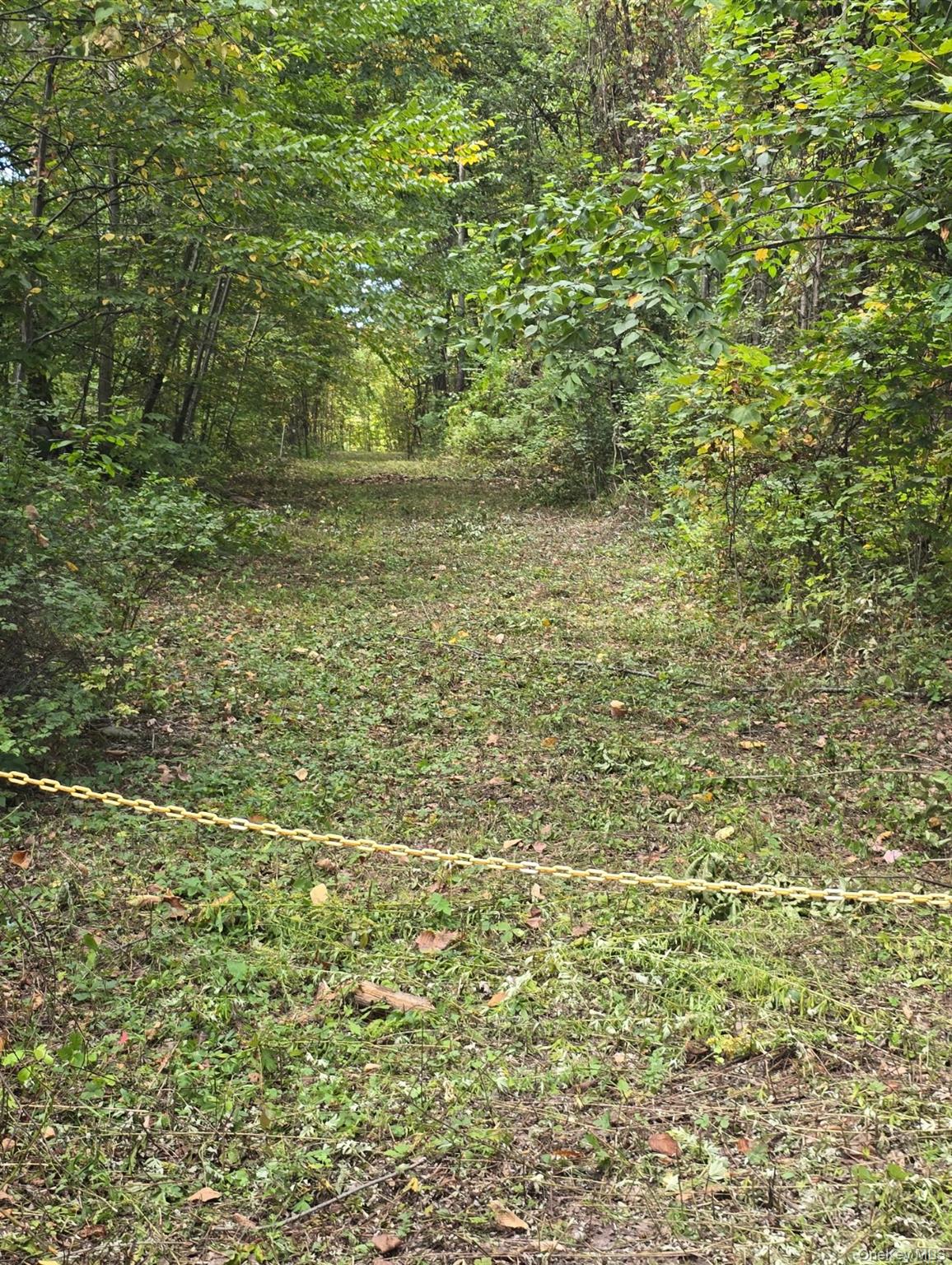 224 Hickory Hill Lane, Newburgh, NY 12550