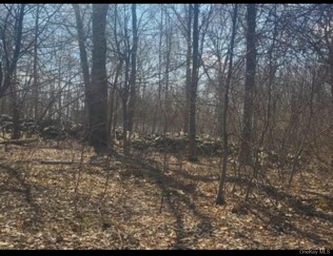 224 Hickory Hill Lane, Newburgh, NY 12550