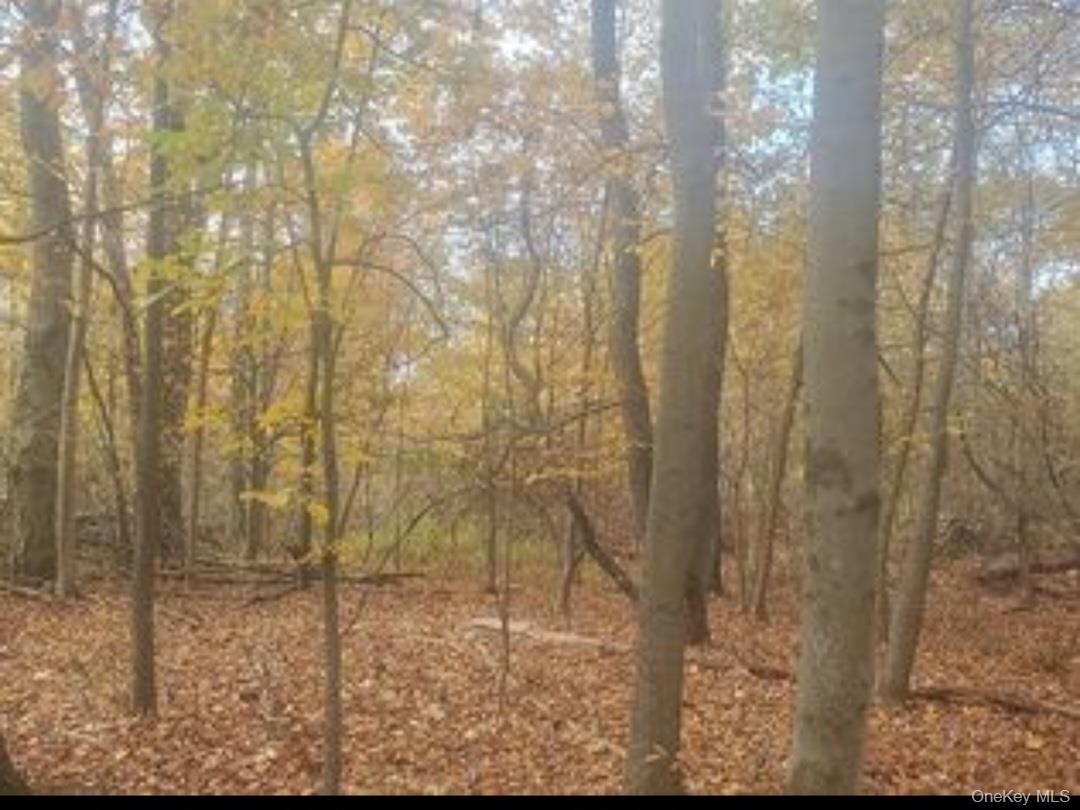 224 Hickory Hill Lane, Newburgh, NY 12550