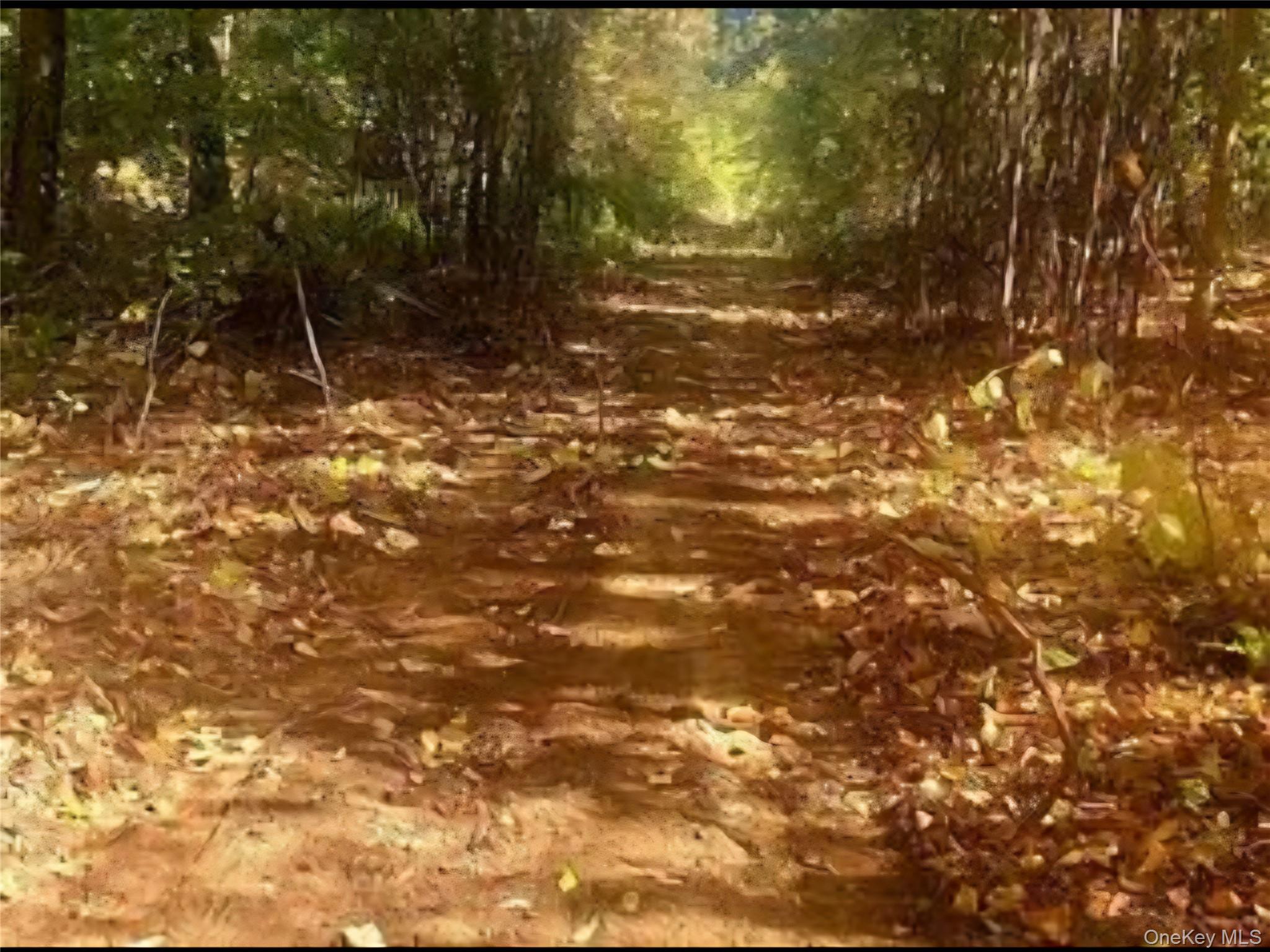 224 Hickory Hill Lane, Newburgh, NY 12550