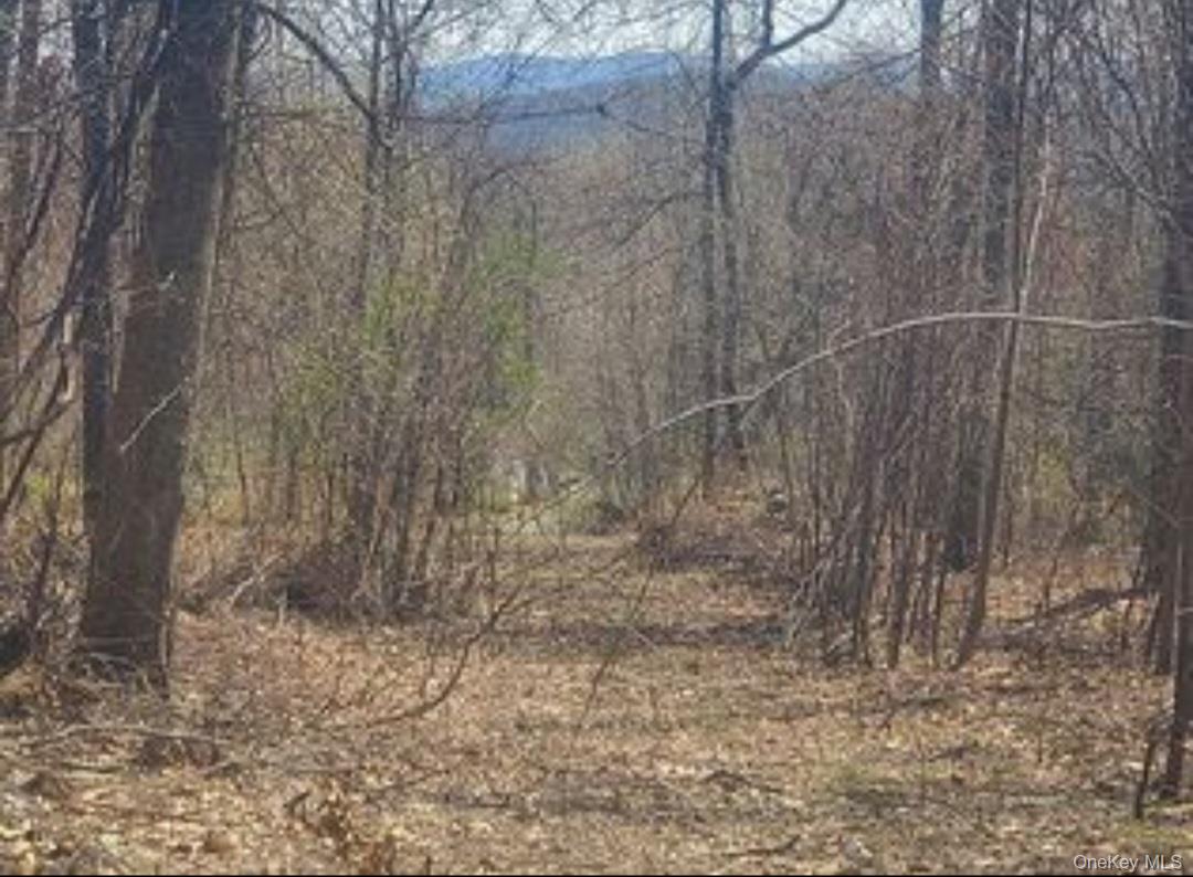 224 Hickory Hill Lane, Newburgh, NY 12550