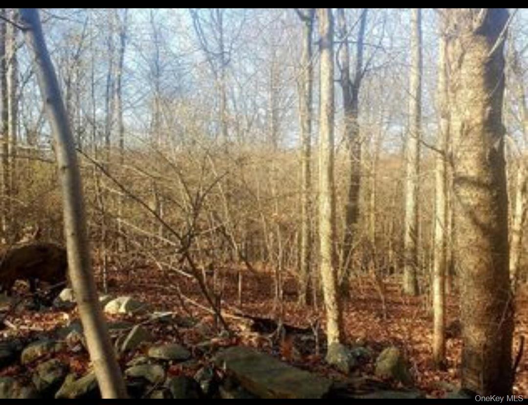 224 Hickory Hill Lane, Newburgh, NY 12550