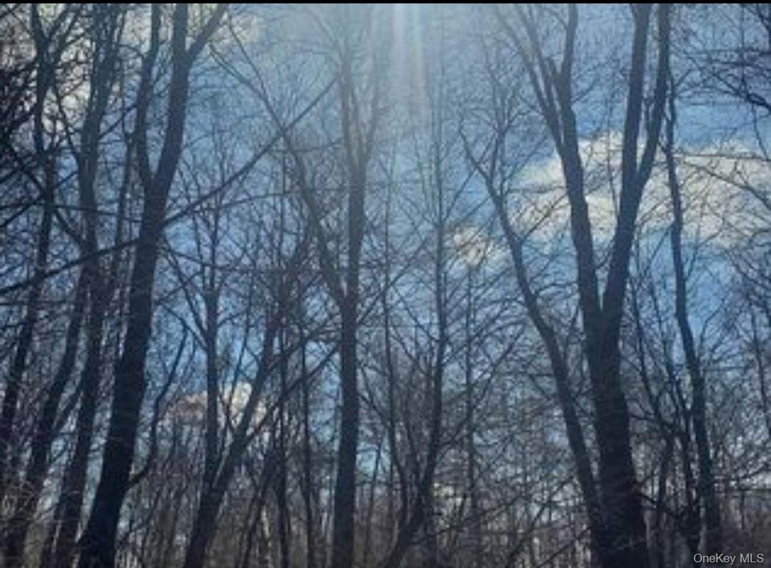 224 Hickory Hill Lane, Newburgh, NY 12550