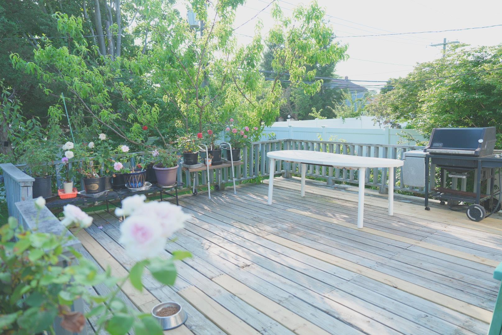 23 Clinton Lane, Jericho, NY 11753