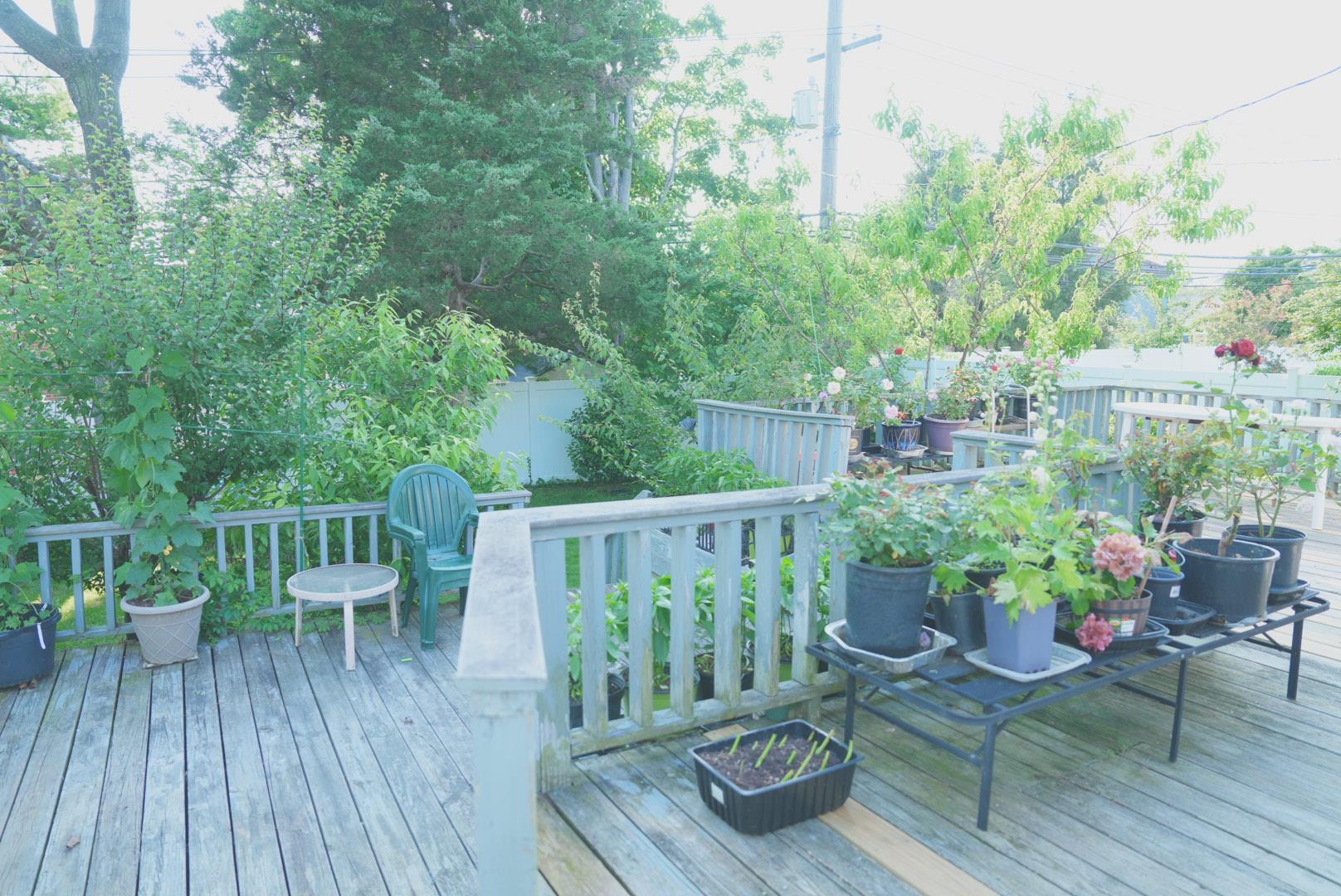 23 Clinton Lane, Jericho, NY 11753