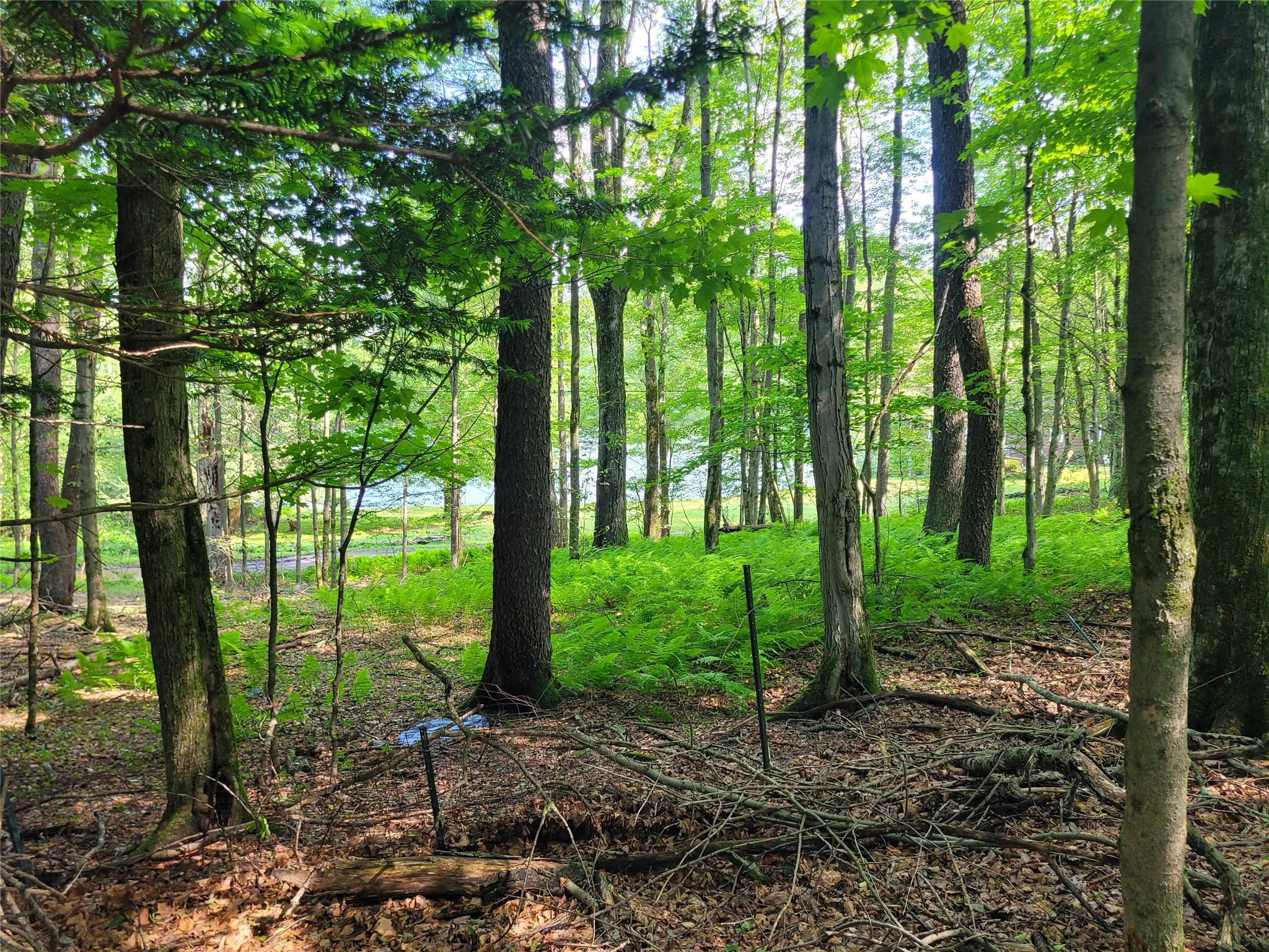 1485 Briscoe Road, Swan Lake, NY 12783