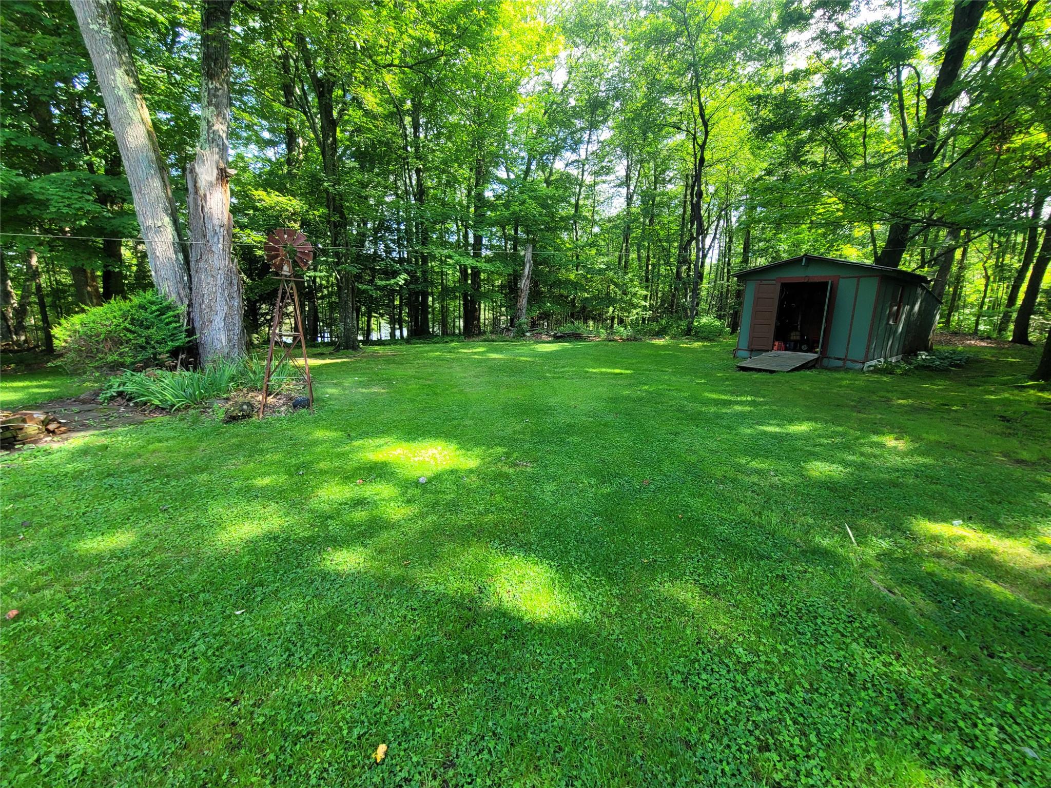 1485 Briscoe Road, Swan Lake, NY 12783