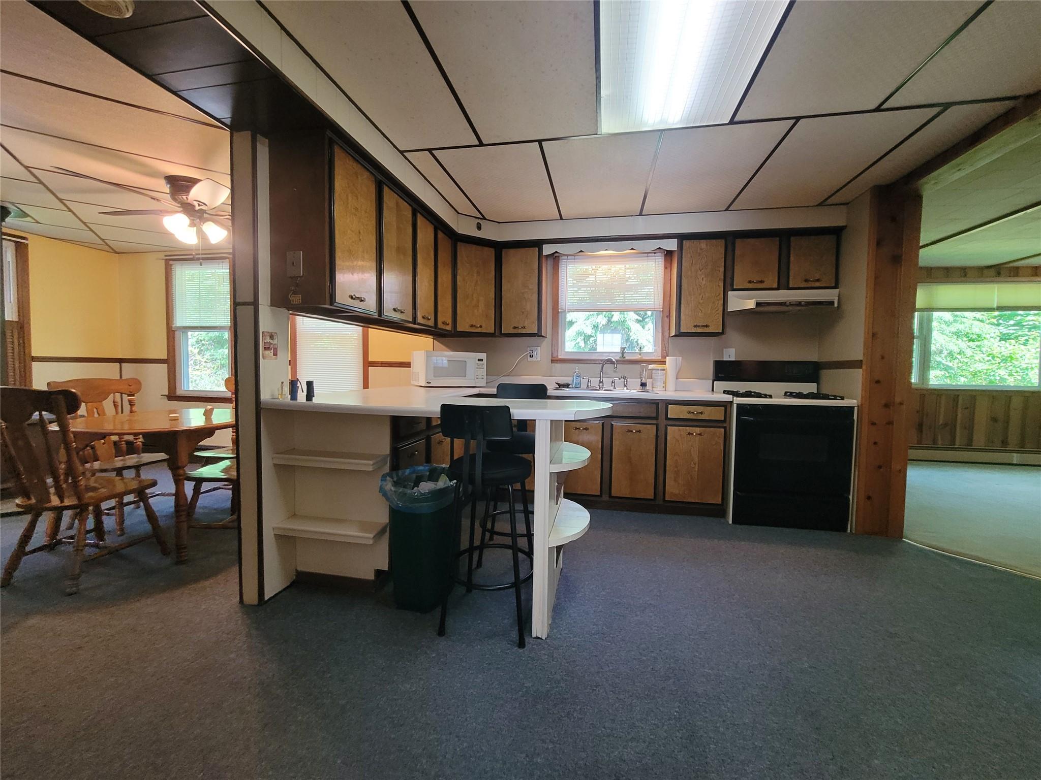 1485 Briscoe Road, Swan Lake, NY 12783