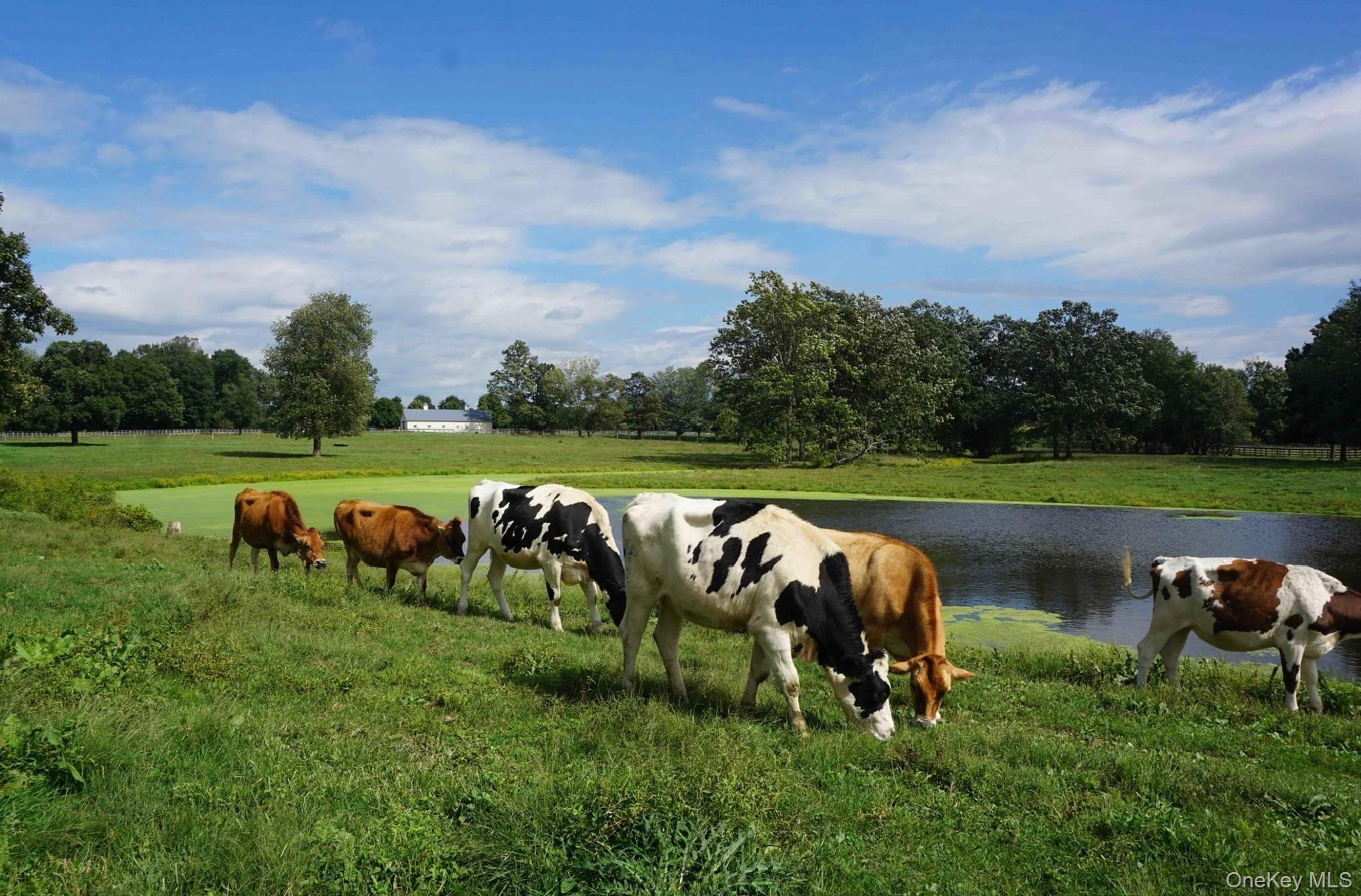 2039 Salt Point Turnpike, Salt Point, NY 12578