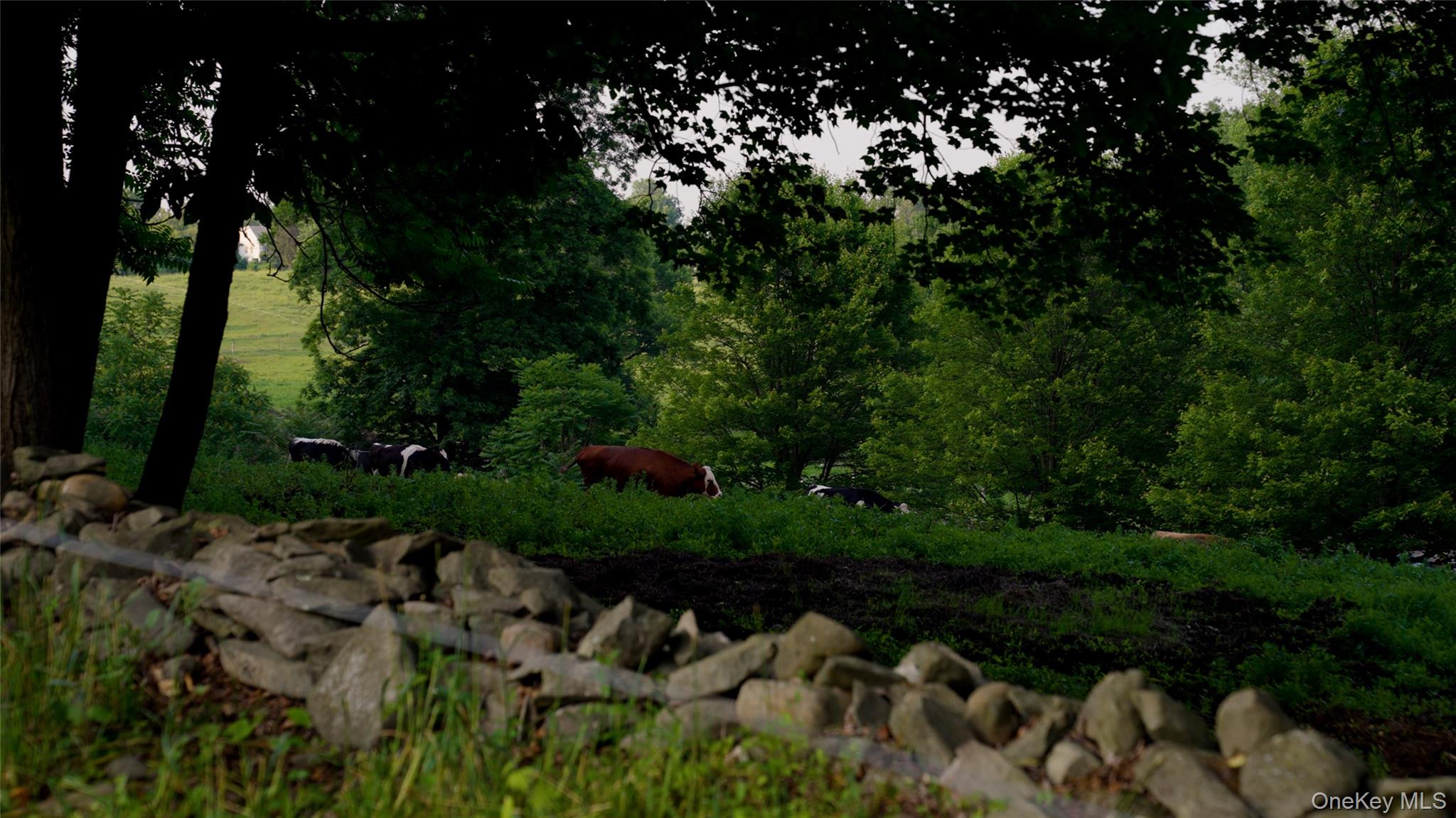 2039 Salt Point Turnpike, Salt Point, NY 12578