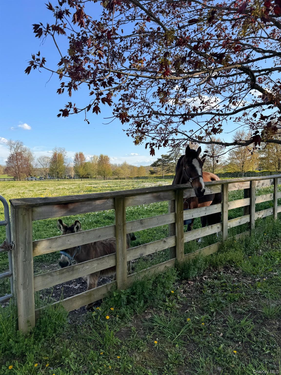 2039 Salt Point Turnpike, Salt Point, NY 12578