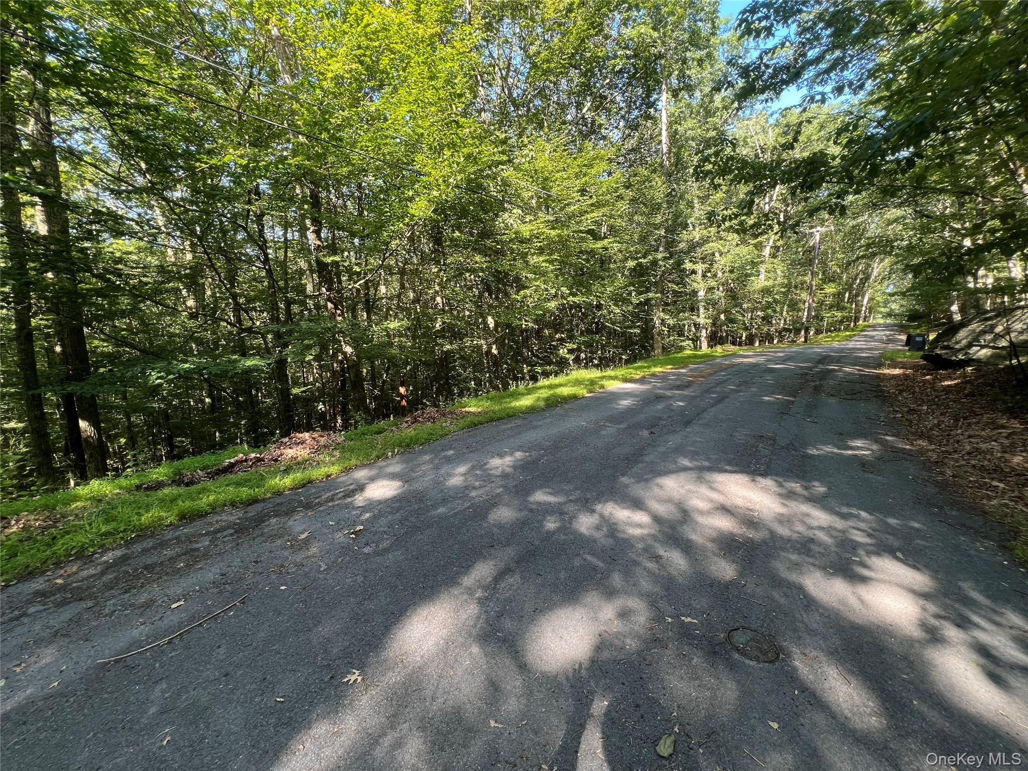 39 Hilltop Lane, Narrowsburg, NY 12764