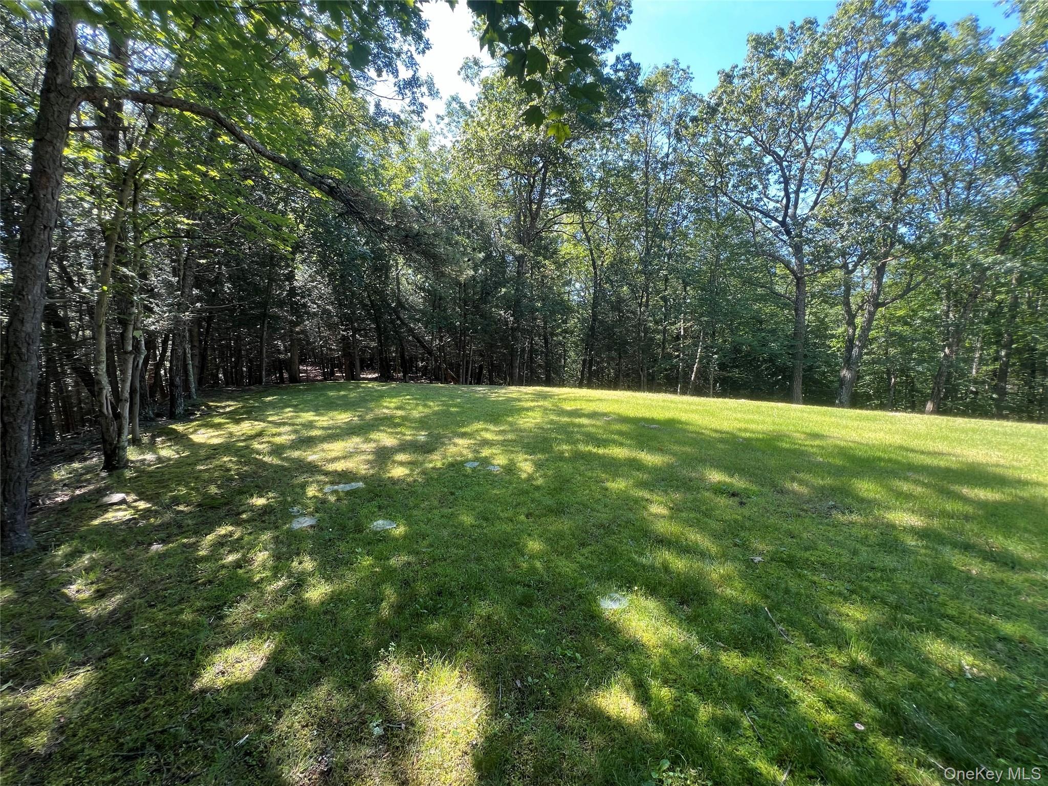 39 Hilltop Lane, Narrowsburg, NY 12764