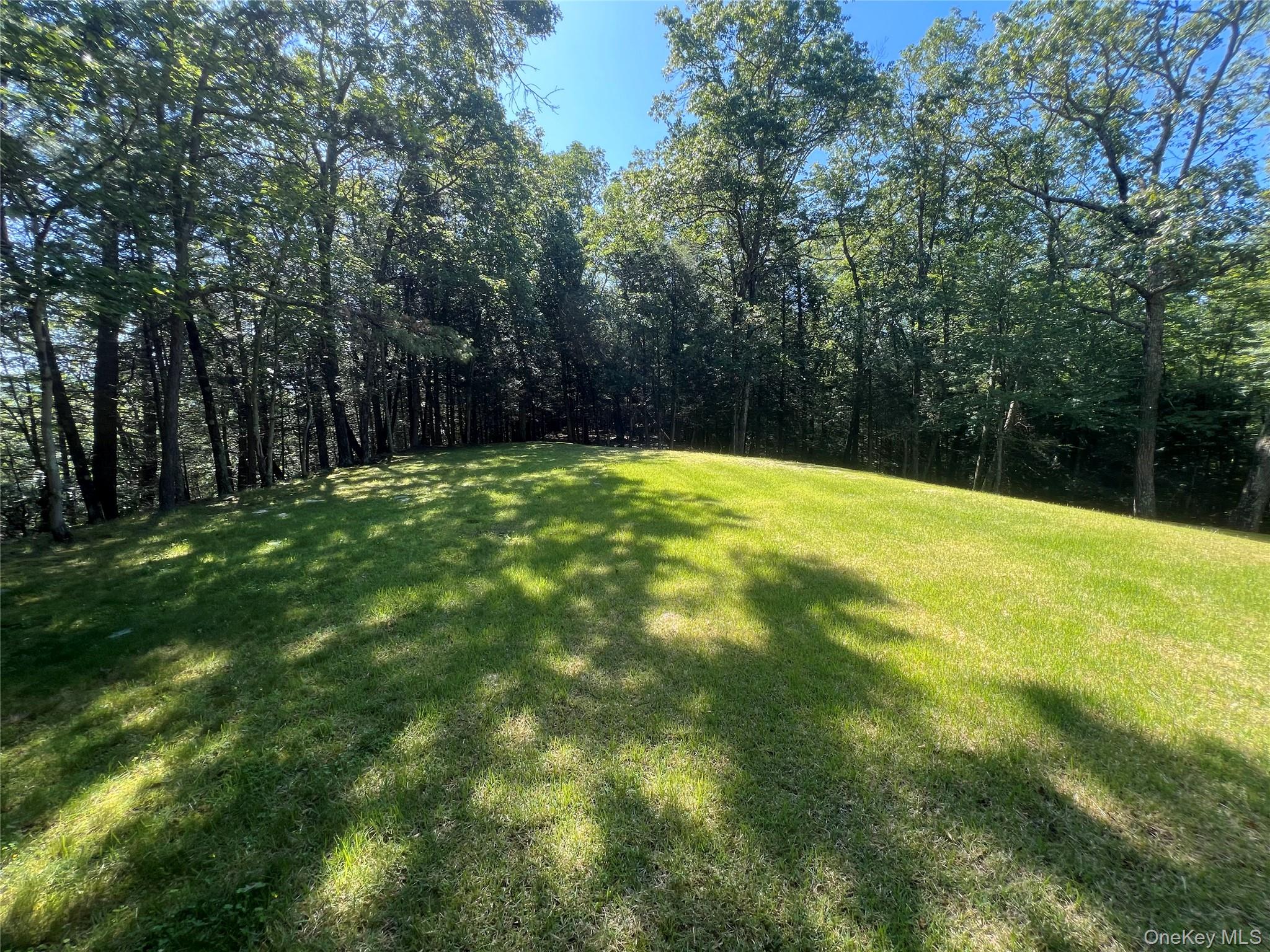 39 Hilltop Lane, Narrowsburg, NY 12764